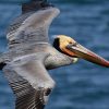 Boca Chica : Los Haitises Guided Hike and Kayaking - Image 2