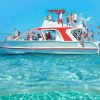 Party Boat in Punta Cana/Free Drinks and transportation inc - Image 2