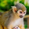 Samaná: Monkeyland and Open-Air Safari Truck Tour - Image 2