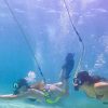 Punta Cana: Guided Power Dive Adventure - Image 2