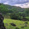 Samana: Private Los Haitises Expedition Caves & Mangroves - Image 2