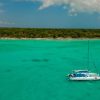 Catalina island snorkel with Food and drinks (Full Day) - Image 2