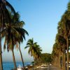 From Punta Cana: Full-Day Santo Domingo City Tour - Image 2