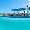 From Punta Cana: Saona Island Catamaran Tour w/ Buffet Lunch - Image 2