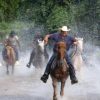 Horseback Riding Tour of Punta Cana - Image 2