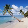 Punta Cana: Saona Island Day Trip - Image 2