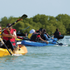 Boca Chica : Los Haitises Guided Hike and Kayaking - Image 3