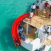 Punta Cana :Catamaran with Open Bar and Dolphin and Stingray Watching - Image 3