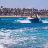 Guided Speedboat Experience on the Coast: Punta Cana - Image 3