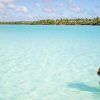 saona premium mano Juan canto de la playa sightseeing tour - Image 2