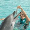 Puerto Plata Ocean World Dolphin Swim - Image 2