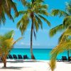 Full-Day Saona Island Tour by Speedboat - Image 2