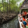 Los Haitises National Park: Boat and Walking Tour with Lunch - Image 11