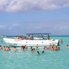 Punta Cana: Saona Island and Buggy Combo - Image 11