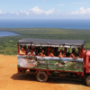 Haitises & Montaña Redonda: Nature's Beauty Tour - Image 14