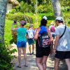 From Punta Cana: Samana Full Day Trip by Bus and Boat - Image 11