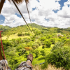 Rainforest Ziplining Adventure - Image 12