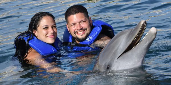 Ocean World Dolphin Swim & Sea Lion Combo from Puerto Plata