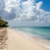 From Punta Cana: Saona Island Cruise with Private Beach - Image 11