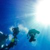 La Romana: Scuba Diving in Catalina Island - Image 11