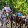 Puerto Plata: Zip Line, Horseback Riding, & Waterfall Combo - Image 11