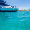 Catalina Island Tour: Boat, Beach Stay, Lunch & Free Drinks - Image 12