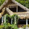 From Punta Cana: Samana Full Day Trip by Bus and Boat - Image 12