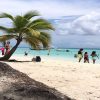 Saona Island Tour All Inclusive Speedboat and Catamaran - Image 12