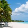 From Punta Cana: Saona Island Catamaran Tour w/ Buffet Lunch - Image 12