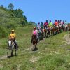 Puerto Plata: Zip Line, Horseback Riding, & Waterfall Combo - Image 12