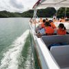 Los Haitises National Park: Boat and Walking Tour with Lunch - Image 12