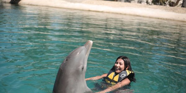 Puerto Plata Ocean World Dolphin Swim