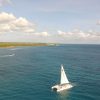 Punta Cana: Saona Island and Buggy Combo - Image 13