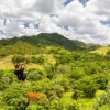 Rainforest Ziplining Adventure - Image 14