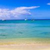 Punta Cana: Saona Island in Private Vehicle and Guide - Image 13