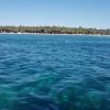 Punta Cana: Saona Island All-Inclusive Day Trip - Image 14