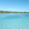 From La Romana: Saona Island for Carnival Cruises Passengers - Image 14