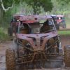 Full day buggy Safari with lunch and Chavon River Tour - Image 15