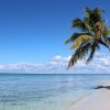 Punta Cana: Saona Island All-Inclusive Day Trip - Image 15