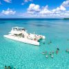 Punta Cana: Amazing Saona Island Clasica Full Day - Image 15