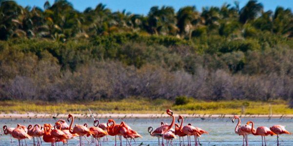 Jaragua National Park: Explore Laguna de Oviedo