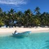 Punta Cana: Saona Island in Private Vehicle and Guide - Image 17