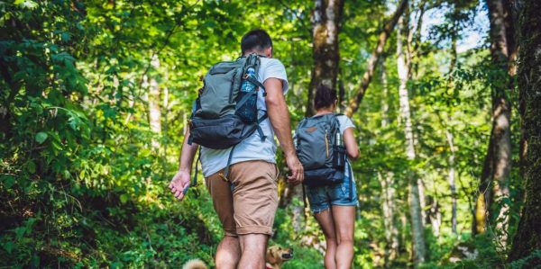 Los Haitises: Caves, Mangroves, & Rainforest Hike/Boat Tour