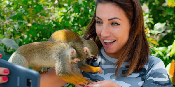 Punta Cana: Half-day tour Monkey Land Safari Tour