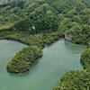 Cano Hondo Natural Pools & Los Haitises boat tour - Image 4