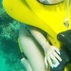 Scuba Doo: Discover Punta Cana's Marine Life In a Fun Way - Image 3