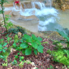 Cano Hondo Natural Pools & Los Haitises boat tour - Image 5