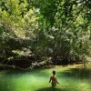 Fantastic Adventure to Hidden Waterfall and Historical Cave - Image 3