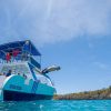 Catalina Island Tour: Boat, Beach Stay, Lunch & Free Drinks - Image 3