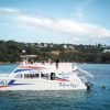 Sosua Sunset party boat And Snorkeling - Image 7